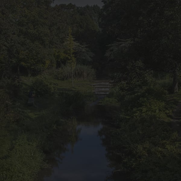 Johnny Jensen, Locus #4, 2025