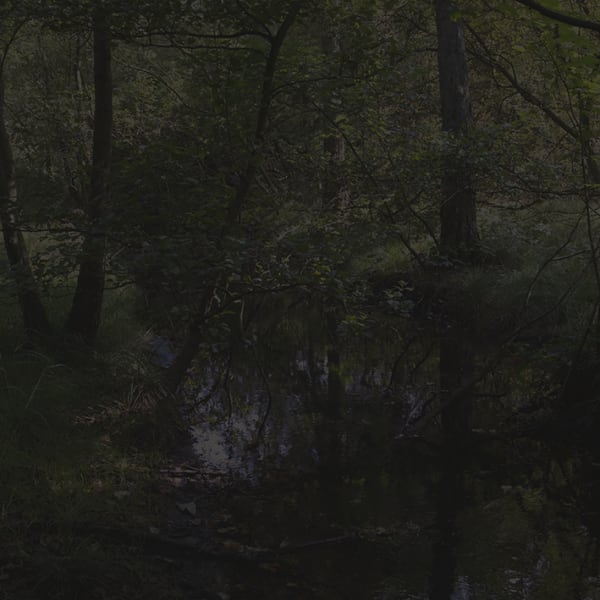 Johnny Jensen, Locus #2, 2025