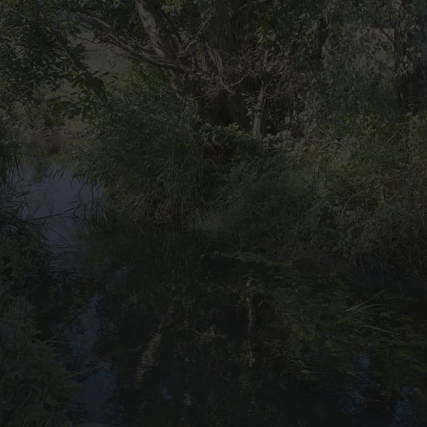 Johnny Jensen, Locus #14, 2025