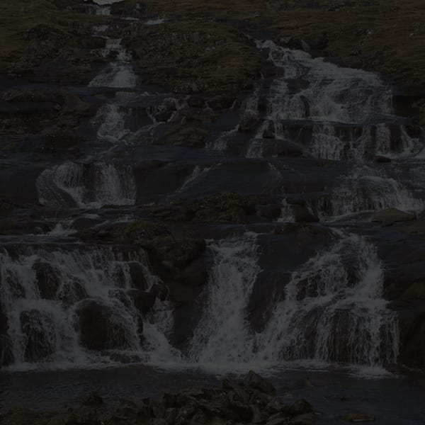 Johnny Jensen, Locus #13, 2025