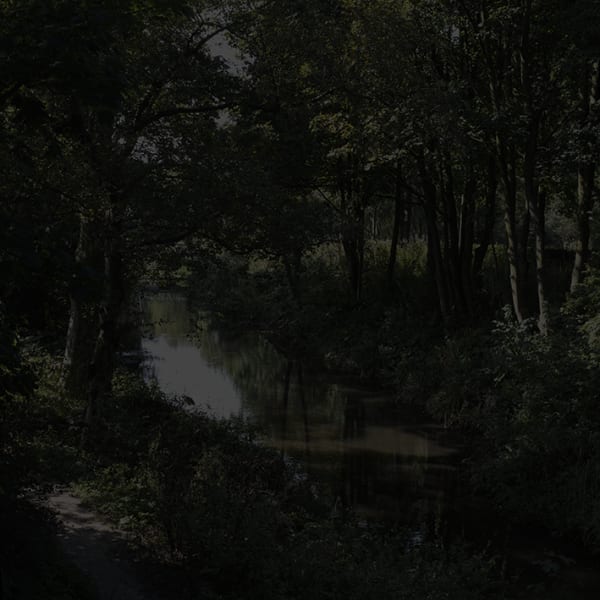 Johnny Jensen, Locus #7, 2025