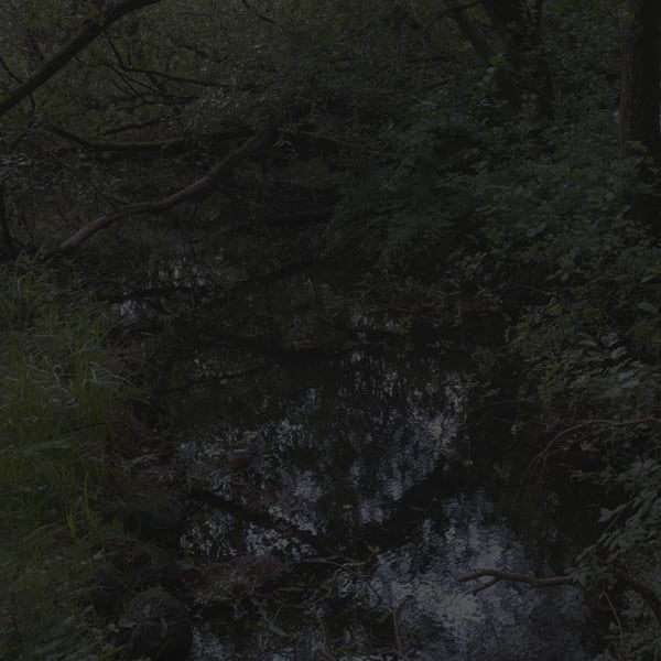 Johnny Jensen, Locus #20, 2025