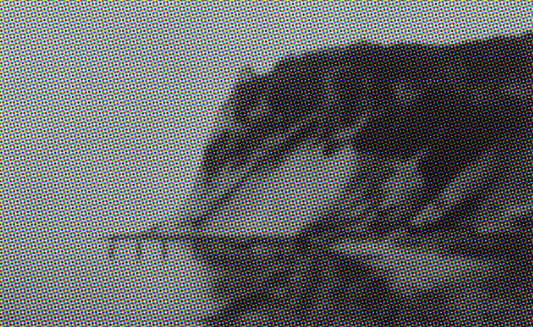 Johnny Jensen, land 1