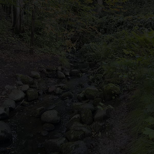 Johnny Jensen, Locus #19, 2025