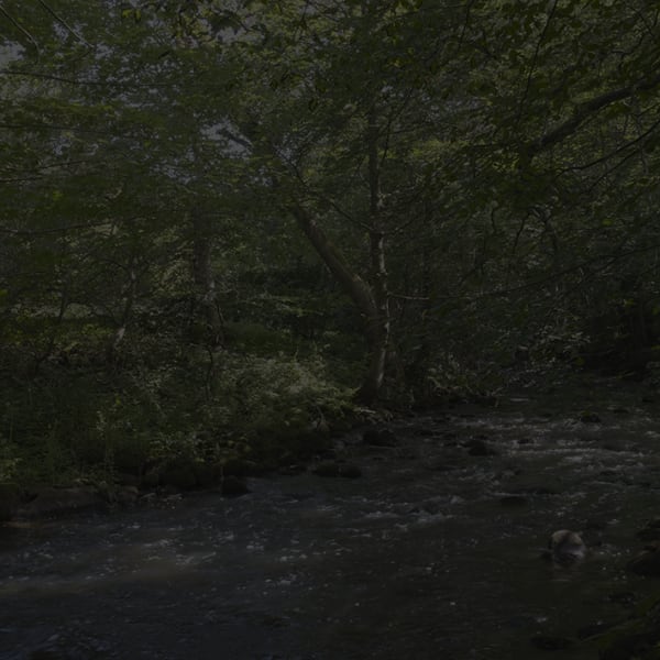 Johnny Jensen, Locus #15, 2025