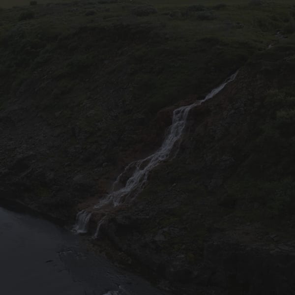 Johnny Jensen, Locus #12, 2025