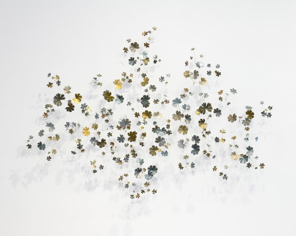 Kirk Maxson, Chile, 2025