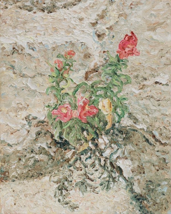 Sophie Westerlind, Pourquoi tu n'as pas dormì?