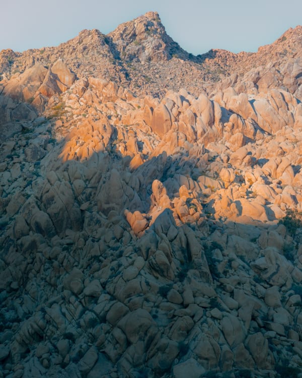 Christopher Rodriguez, Joshua Tree II, 2025