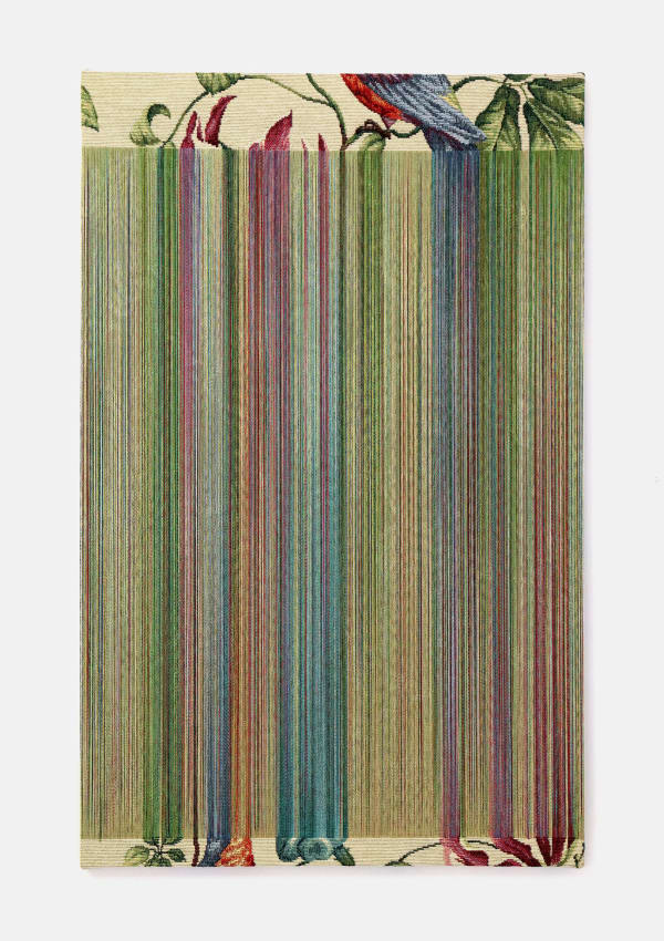 Aiko Tezuka, Fragile Surface - Bird (24-01)