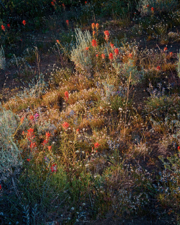 Christopher Rodriguez, Trip Montana II, 2025