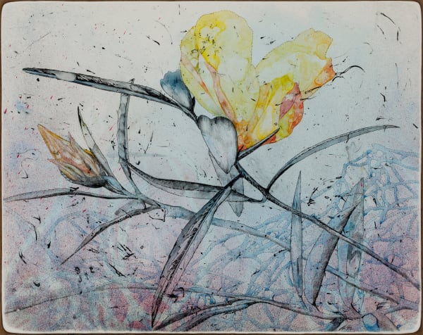 Belinda Fox, Home II