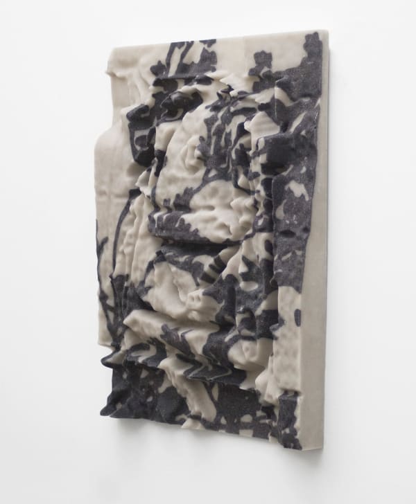 Dwyer Kilcollin, Backpack, through Baccharis, 2014