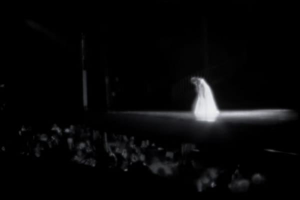 Rocky Schenck, Curtain Call, 2002