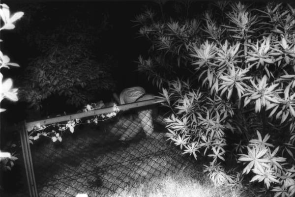 Kohei Yoshiyuki, Untitled, Plate 2, 1971