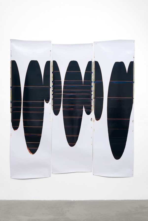 Ellen Carey, Pull with Starts & Stops, 2004