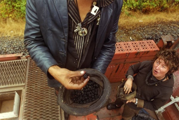 Mike Brodie, #5286, 2006-2009