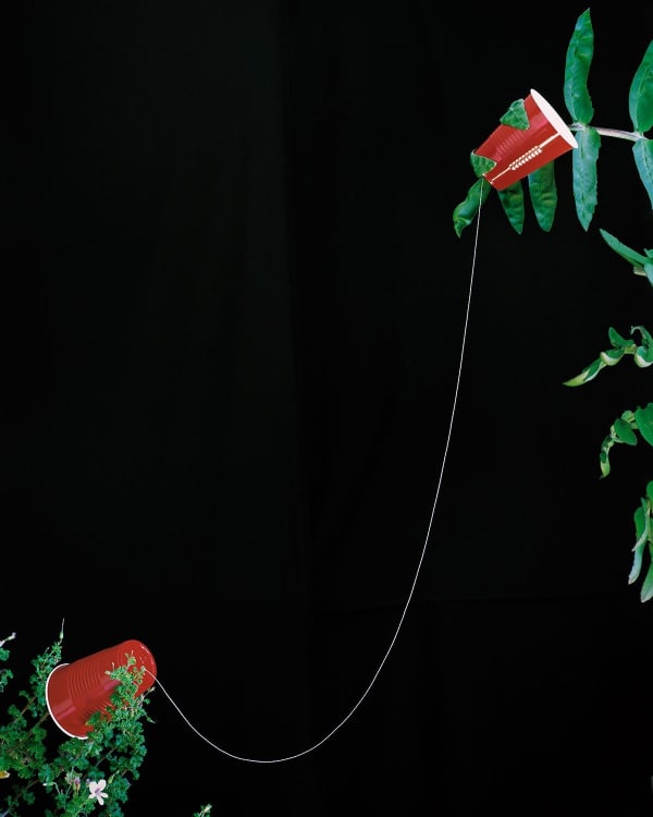 Anthony Lepore, Hook Up, 2013