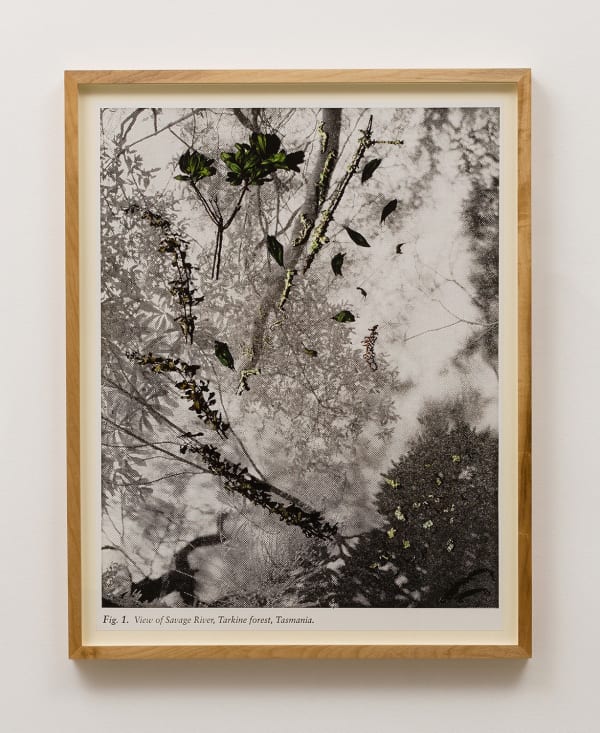 Matthew Porter, Figure 1, 2013