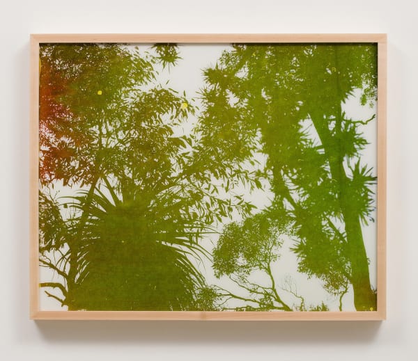 Matthew Porter, Ektar, 2013