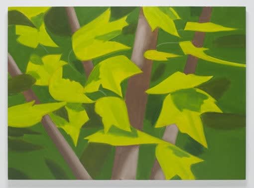 Alex Katz, Young Maple 1, 2008