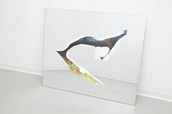 Guillermo R. Gudiño, Isla Niebla, 2011