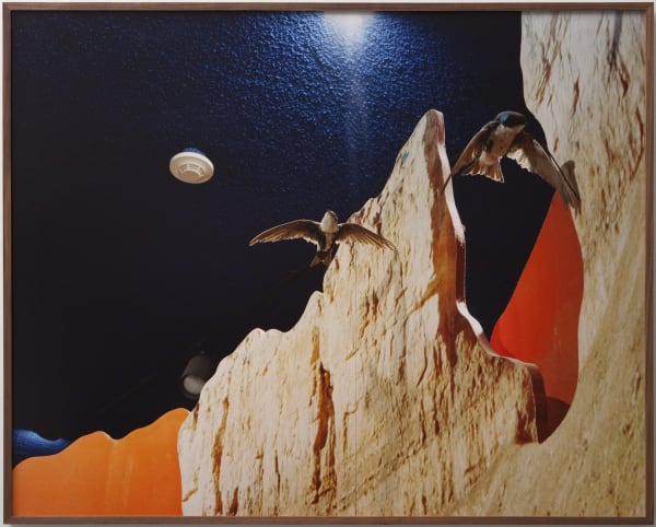 Anthony Lepore, Night Birds, 2009