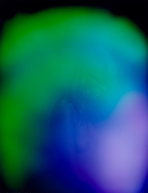 Carlo Van de Roer, Aurel Schmidt 2, 2009