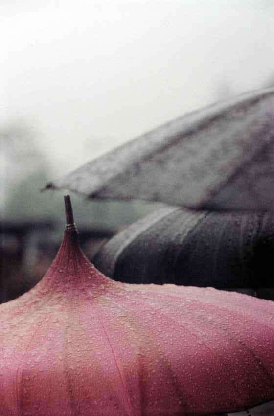 Saul Leiter, Untitled (Pink Umbrella Close-up), 1950s