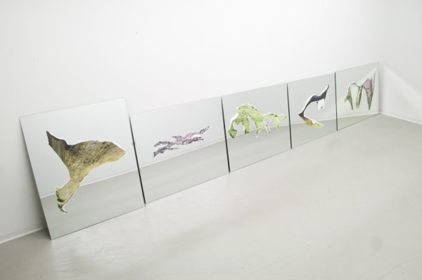 Guillermo R. Gudiño, Isla Series Installation Shot, 2011