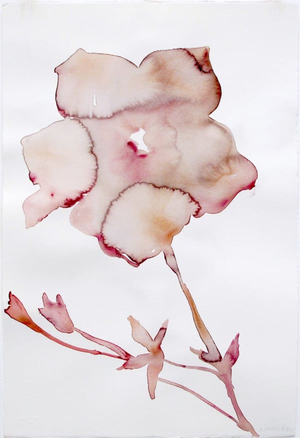 Kim McCarty, April 3, 2009 PM, 2009