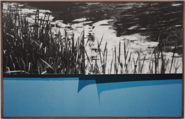 Anthony Lepore, Riverbank, 2010