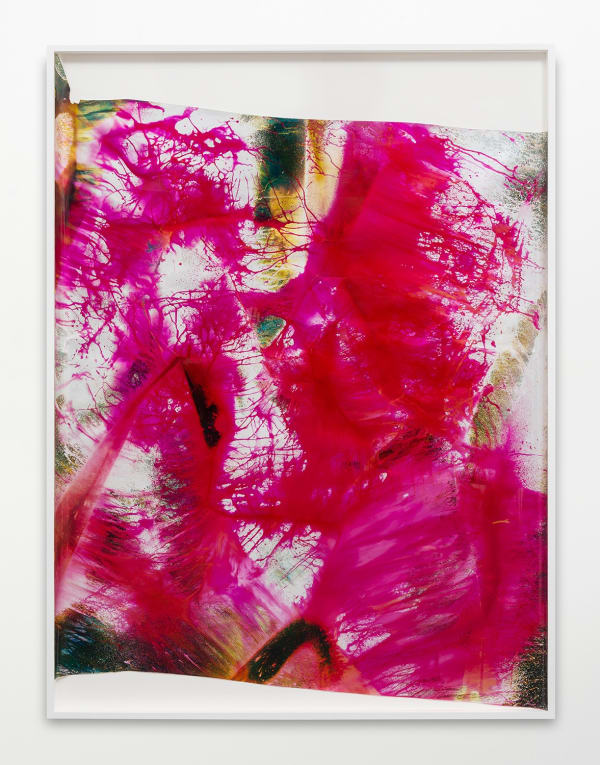 Mariah Robertson, 81, 2015