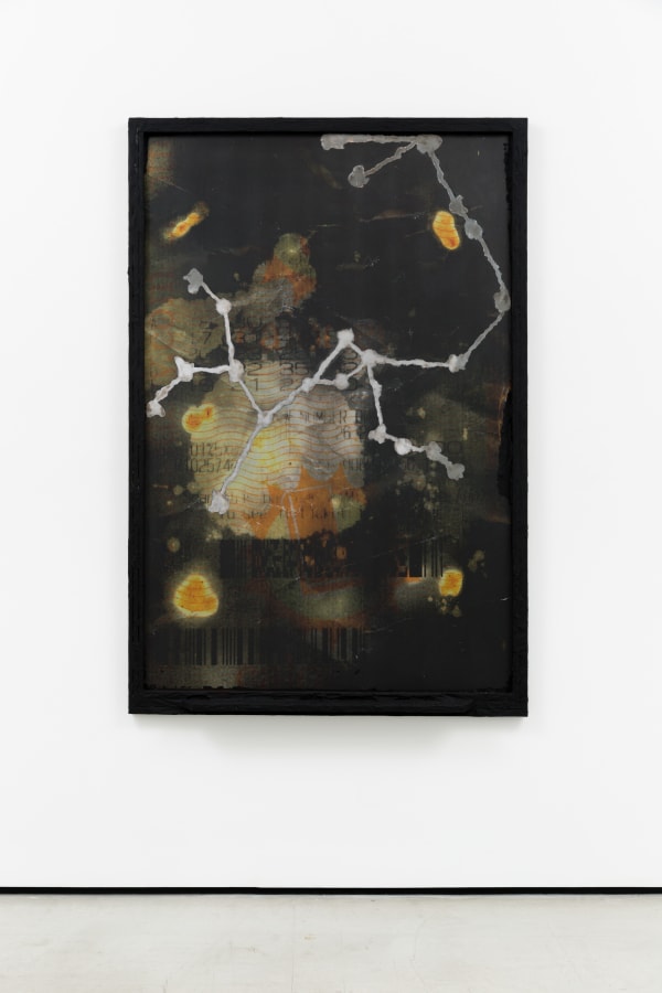 Tyler Christopher Brown, Sagittarius RMCG, 2023