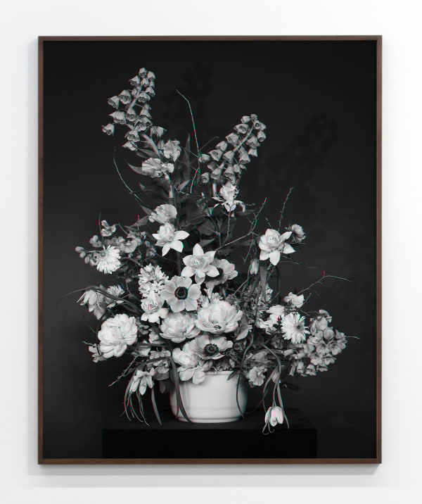 Jessica Eaton, MF 18 v07 (anaglyph), 2022