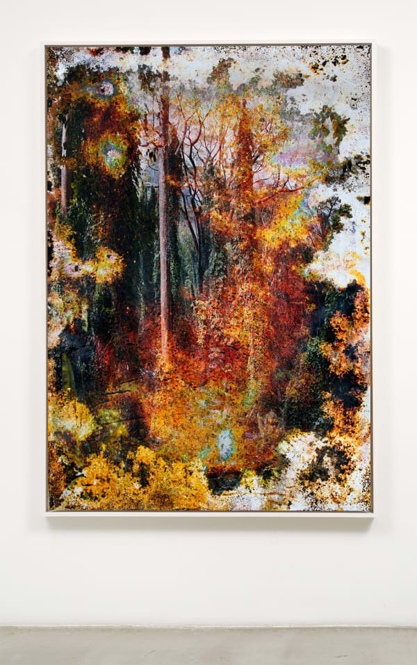 Matthew Brandt, Wai'anae 92607, 2015