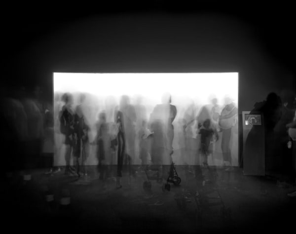 Matthew Pillsbury, Jellyfish, Coney Island Aquarium, Thursday July 14th, 2005, 2005