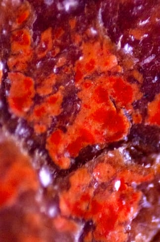 Mariana Parisca, Contents of Miami Bag 12/05/22 (Balenciaga), 2022