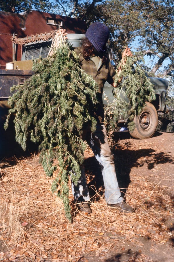 Mel Frank, Mokelumne Hill, Calaveras County, CA, 1978