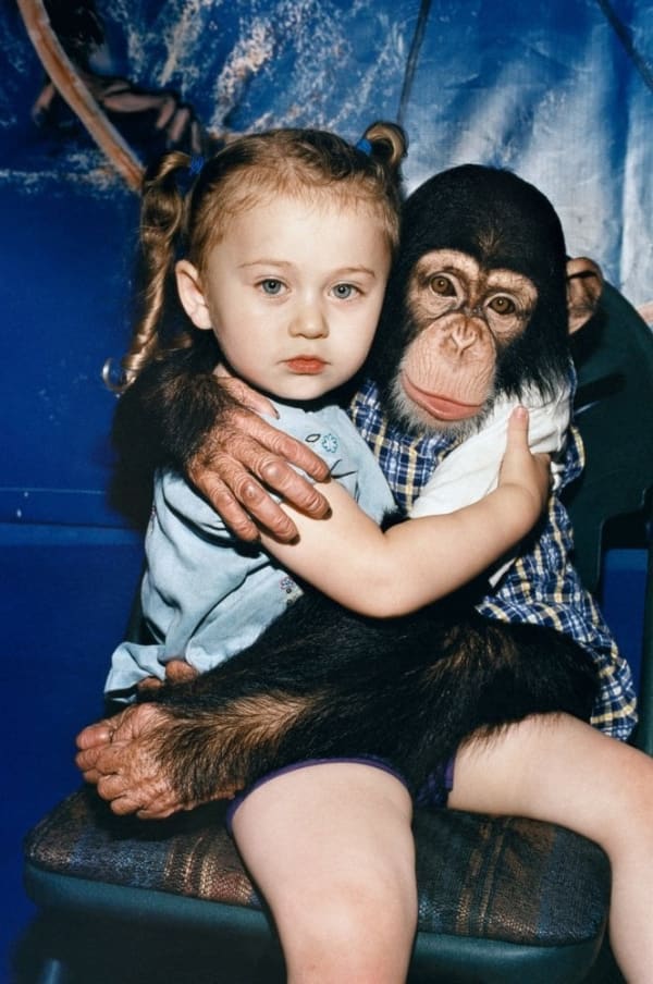 Robin Schwartz, Amelia and Ricky, 2002