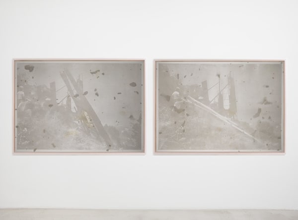 Matthew Brandt, HS10593/HS10583 (diptych), 2013