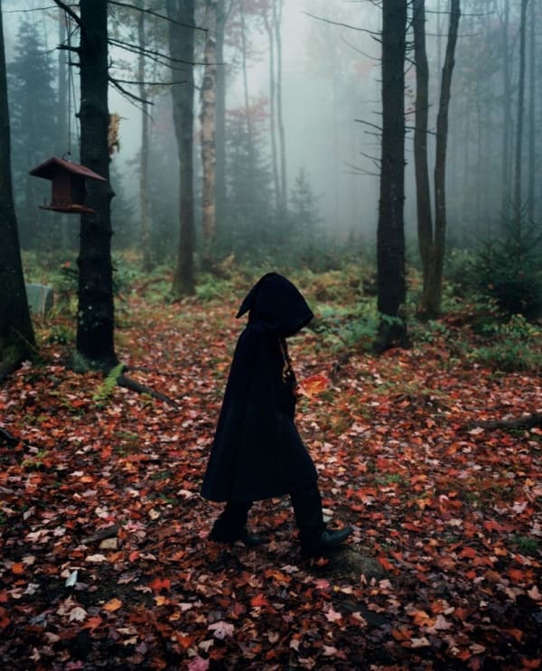 Robin Schwartz, Walter's Forest, 2007