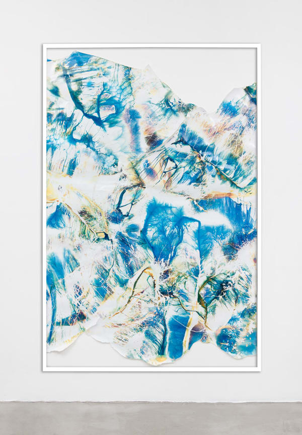 Mariah Robertson, 120, 2016