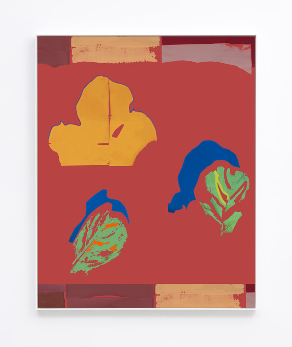 Daniel Gordon, Fiddle Leaf on Dead Salmon Backdrop, 2016