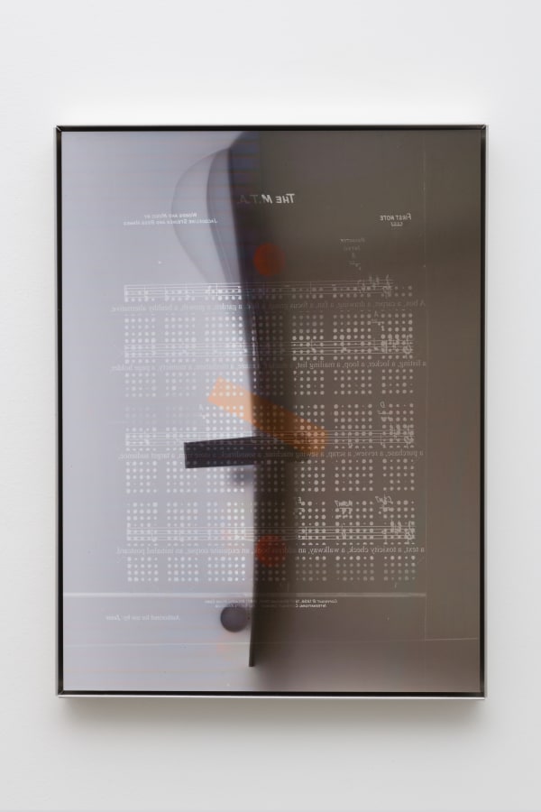 Jesse Stecklow, Untitled (Silk), 2017