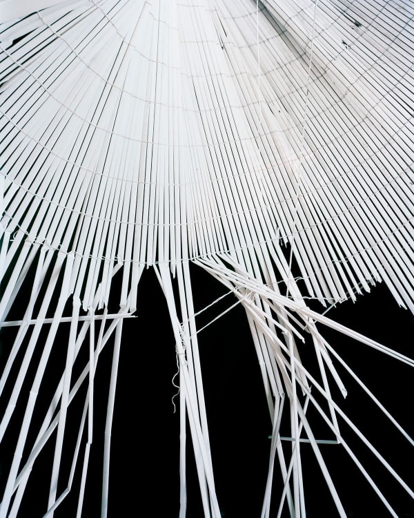 Anthony Lepore, Shade, 2013