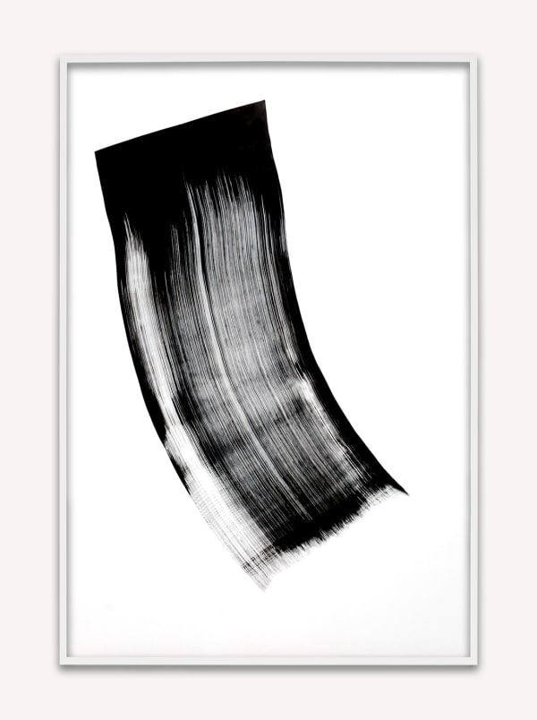 Phil Chang, Replacement Ink for Epson Printers (Black 446004) on Epson Premium Glossy Paper, 2014