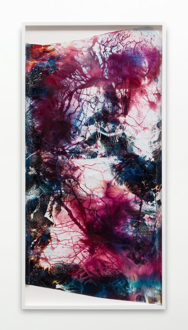 Mariah Robertson, 114, 2015