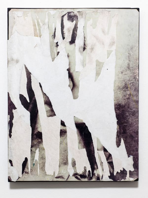 Guillermo R. Gudiño, Encarnación involuntaria #1, 2013