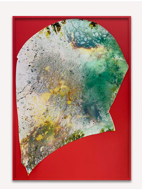 Mariah Robertson, 016, 2018-2020